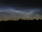 nlc 2__p7147978.jpg